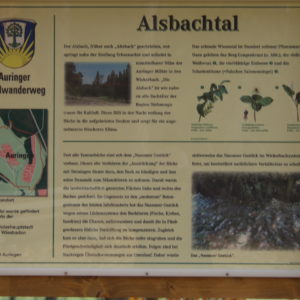 Infotafel am Auringer Rundwanderweg | Alsbachtal