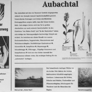 Infotafel am Auringer Rundwanderweg | Aubachtal