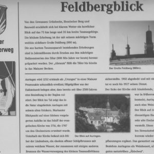 Infotafel am Auringer Rundwanderweg | Feldbergblick